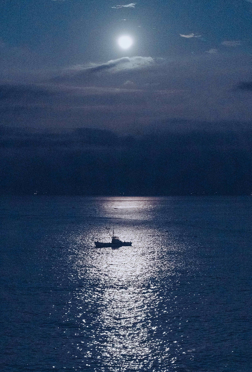 Moonlit sea